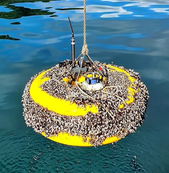 Recovered OBS covered in barnacles