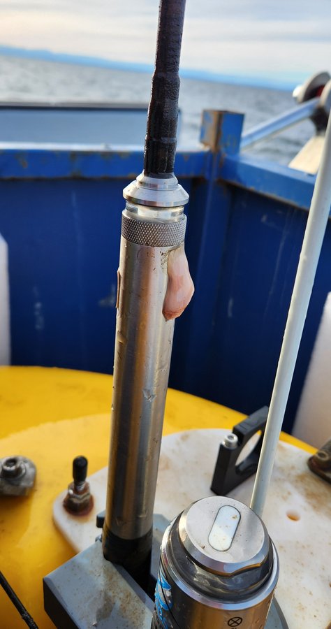 2024-05-08 Slug attached to XMB radio beacon (KBosman)