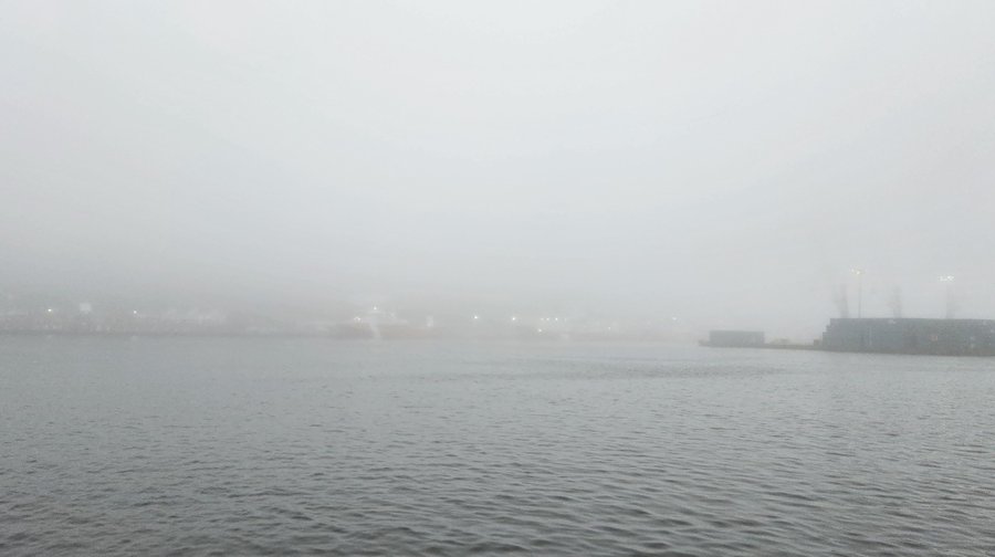 2024-06-03 St John's harbour (KBosman)