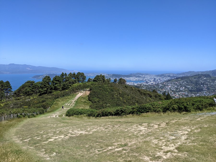 2023-12-11 Old Coach Road overlooking Wellington (G Cairns)