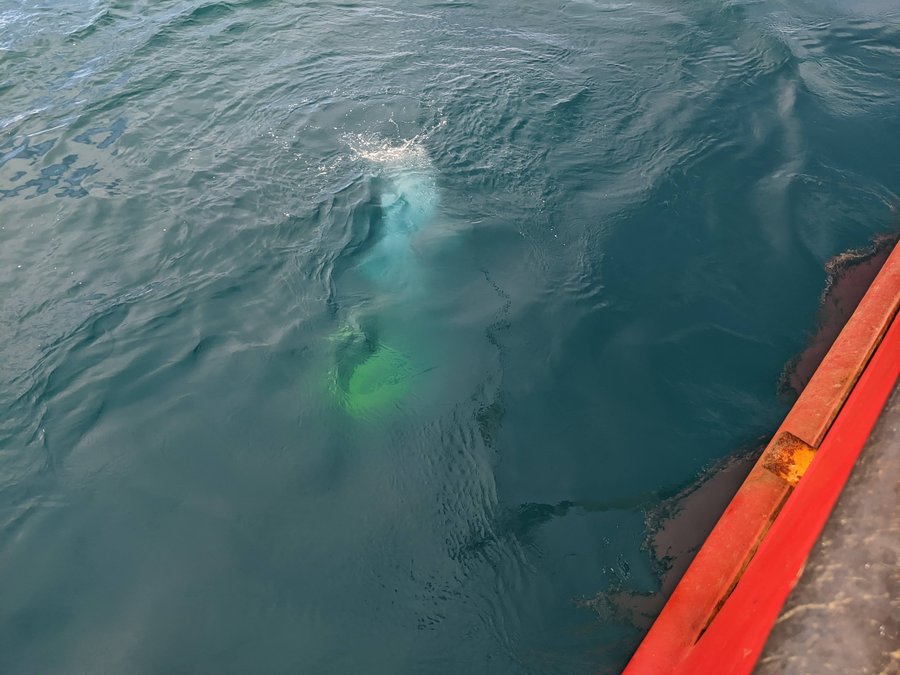 2024-07-21 Deployed OBS sinking (GCairns)