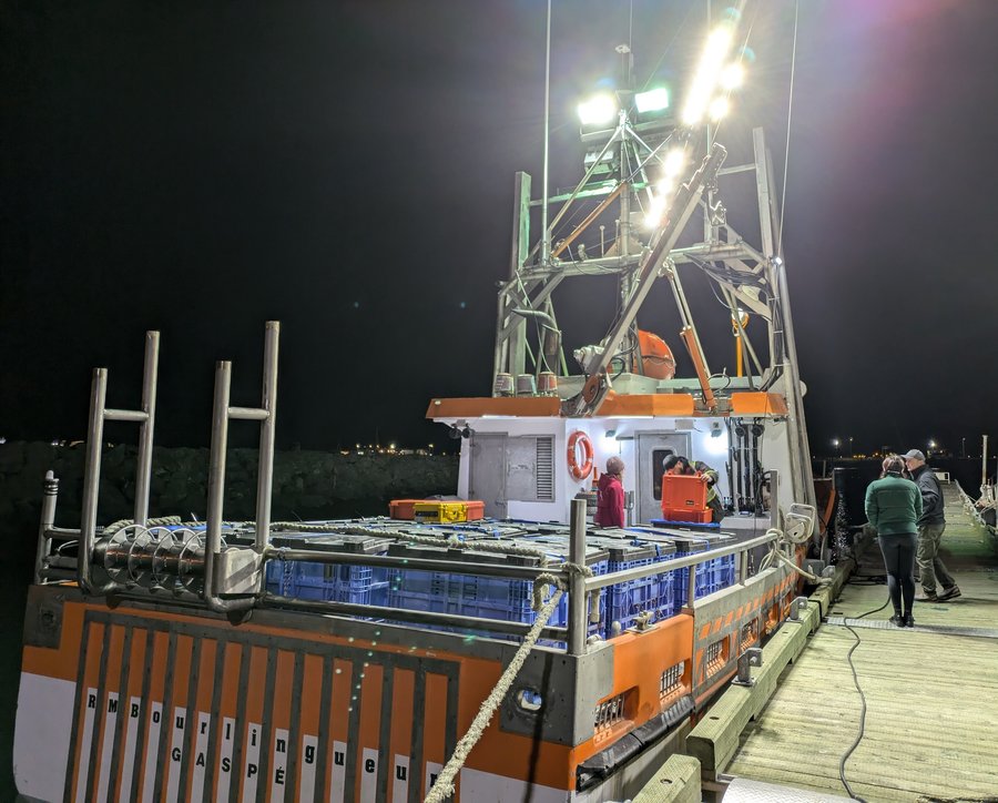 2024-11-10 Setting up equipment aboard R.M. Bourlingueur (APlourde)